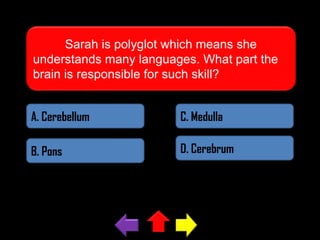 Sarah is polyglot which means she
understands many languages. What part the
brain is responsible for such skill?
A. Cerebellum

C. Medulla

B. Pons

D. Cerebrum

 