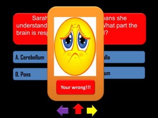 Sarah is polyglot which means she
understands many languages. What part the
brain is responsible for such skill?

A. Cerebellum

C. Medulla

B. Pons

Cerebrum
Your wrong!!!

 