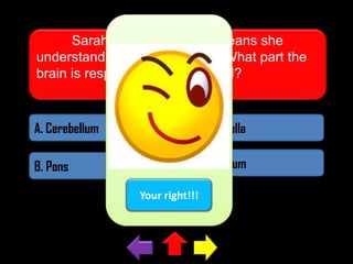 Sarah is polyglot which means she
understands many languages. What part the
brain is responsible for such skill?

A. Cerebellum

C. Medulla

B. Pons

Cerebrum
Your right!!!

 