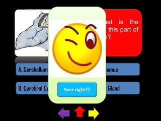 what is the
name of this part of
the brain?

A. Cerebellum

C. Hypothalamus

B. Cerebral Cortex Your right!!!
D. Pituitary Gland

 