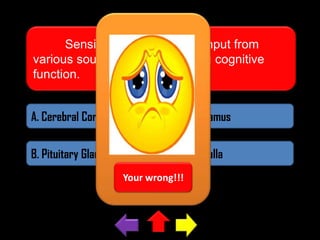 Sensing and interpreting input from
various sources and maintaining cognitive
function.
A. Cerebral Cortex

C. Thalamus

B. Pituitary Gland

D. Medulla
Your wrong!!!

 