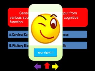 Sensing and interpreting input from
various sources and maintaining cognitive
function.
A. Cerebral Cortex

C. Thalamus

B. Pituitary Gland

D. Medulla
Your right!!!

 