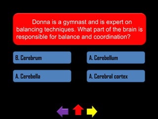 Donna is a gymnast and is expert on
balancing techniques. What part of the brain is
responsible for balance and coordination?
B. Cerebrum

A. Cerebellum

A. Cerebella

A. Cerebral cortex

 