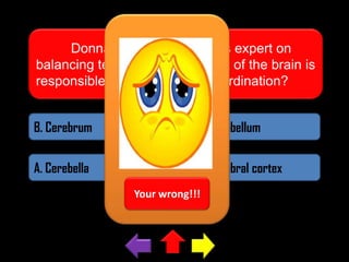 Donna is a gymnast and is expert on
balancing techniques. What part of the brain is
responsible for balance and coordination?
B. Cerebrum

A. Cerebellum

A. Cerebella

A. Cerebral cortex
Your wrong!!!

 