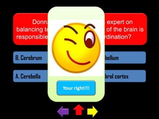 Donna is a gymnast and is expert on
balancing techniques. What part of the brain is
responsible for balance and coordination?
B. Cerebrum

A. Cerebellum

A. Cerebella

A. Cerebral cortex
Your right!!!

 