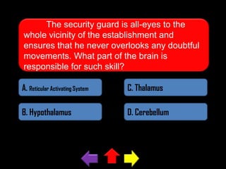 The security guard is all-eyes to the
whole vicinity of the establishment and
ensures that he never overlooks any doubtful
movements. What part of the brain is
responsible for such skill?
A. Reticular Activating System

C. Thalamus

B. Hypothalamus

D. Cerebellum

 