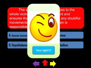 The security guard is all-eyes to the
whole vicinity of the establishment and
ensures that he never overlooks any doubtful
movements. What part of the brain is
responsible for such skill?
A. Reticular Activating System

C. Thalamus

B. Hypothalamus

D. Cerebellum
Your right!!!

 