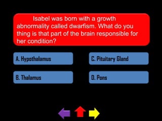 Isabel was born with a growth
abnormality called dwarfism. What do you
thing is that part of the brain responsible for
her condition?
A. Hypothalamus

C. Pituitary Gland

B. Thalamus

D. Pons

 