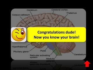 Congratulations dude!
Now you know your brain!

 