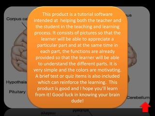 This product is a tutorial software
intended at helping both the teacher and
the student in the teaching and learning
process. It consists of pictures so that the
learner will be able to appreciate a
particular part and at the same time in
each part, the functions are already
provided so that the learner will be able
to understand the different parts. It is
very simple and the colors are motivating.
A brief test or quiz items is also included
which can reinforce the learning. This
product is good and I hope you’ll learn
from it! Good luck in knowing your brain
dude!

 