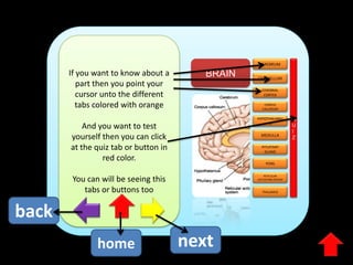 CEREBRUM

If you want to know about a
part then you point your
cursor unto the different
tabs colored with orange

BRAIN

CEREBRAL
CORTEX
CORPUS
CALLOSUM

HYPOTHALAMU
S

And you want to test
yourself then you can click
at the quiz tab or button in
red color.

MEDULLA
PITUITARY
GLAND
PONS
RETICULAR
ACTIVATING SYSTEM

You can will be seeing this
tabs or buttons too

THALAMUS

back
home

CEREBELLUM

next

Q
U
I
Z

 