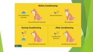 Educational Technology 