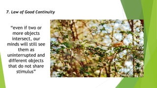 Educational Technology 