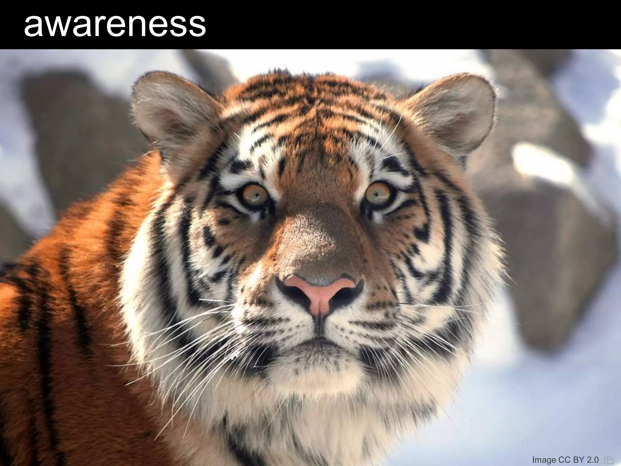 awareness
Image CC BY 2.0 fPt
 