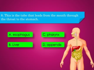 8. This is the tube that leads from the mouth through
the throat to the stomach.
D. appendix
C. pharynx
B. Liver
A. esophagus
 
