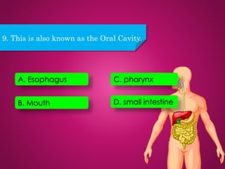 9. This is also known as the Oral Cavity.
D. small intestine
C. pharynx
B. Mouth
A. Esophagus
 