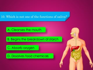 10. Which is not one of the functions of saliva?
D. Dissolves food chemicals
C. Absorb oxygen
B. Begins the breakdown of starch
A. Cleanses the mouth
 
