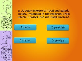 B. chyme
A. bolus C. peristalsis
D. amylase
5. A pulpy mixture of food and gastric
juices. Produced in the stomach, from
which it passes into the small intestine.
 