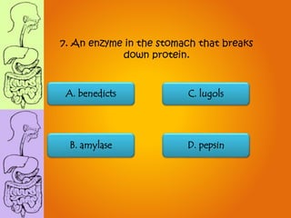 A. benedicts
B. amylase
C. lugols
D. pepsin
7. An enzyme in the stomach that breaks
down protein.
 