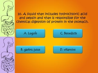 A. Lugols
B. gastric juice D. vitamins
C. Benedicts
10. A liquid that includes hydrochloric acid
and pepsin and that is responsible for the
chemical digestion of protein in the stomach.
 