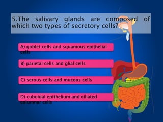 5.The salivary glands are composed of
which two types of secretory cells?
A) goblet cells and squamous epithelial
cells
B) parietal cells and glial cells
C) serous cells and mucous cells
D) cuboidal epithelium and ciliated
columnar cells
 