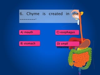 6. Chyme is created in the
________.
A) mouth
B) stomach
C) esophagus
D) small
intestine
 