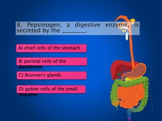 8. Pepsinogen, a digestive enzyme, is
secreted by the ________.
A) chief cells of the stomach
B) parietal cells of the
duodenum
C) Brunner's glands
D) goblet cells of the small
intestine
 