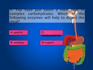 A) gastrin
D) trypsin
C)
cholecystokinin
B) amylase
9. You have just eaten a meal high in
complex carbohydrates. Which of the
following enzymes will help to digest the
meal?
 