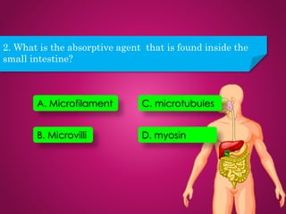 2. What is the absorptive agent that is found inside the
small intestine?
A. Microfilament
B. Microvilli
C. microtubules
D. myosin
 