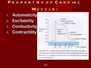 Properties of Cardiac Muscle: Automaticity Excitability Conductivity Contractility 2009 