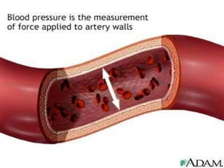 Blood Pressure The pressure exerted by the blood against the blood vessel wall Factors affecting Blood Pressure Neural Factors : the Autonomic Nervous System, particularly the Sympathetic Nervous System which often causes vasoconstriction or narrowing of the vessels and thus increasing blood pressure Renal Factors : the Kidneys Temperature :  Cold – causes vasoconstriction Heat – causes vasodilatation Chemicals and Hormones Catecholamines, Antidiuretic Hormone, Aldosterone, Atrial Natriuretic Peptide, Nicotine, Histamine & Alcohol Diet 
