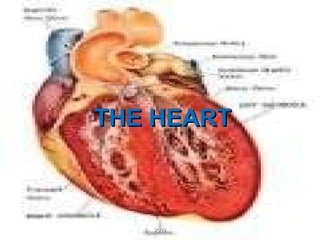THE HEART 2009 