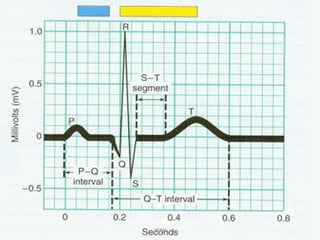 Electrocardiogram (ECG) 2009 