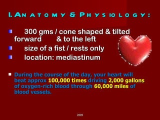 I. Anatomy & Physiology: 300 gms / cone shaped & tilted  forward  & to the left size of a fist / rests only  location: mediastinum During the course of the day, your heart will beat approx  100,000 times  driving  2,000 gallons  of oxygen-rich blood through  60,000 miles  of blood vessels. 2009 