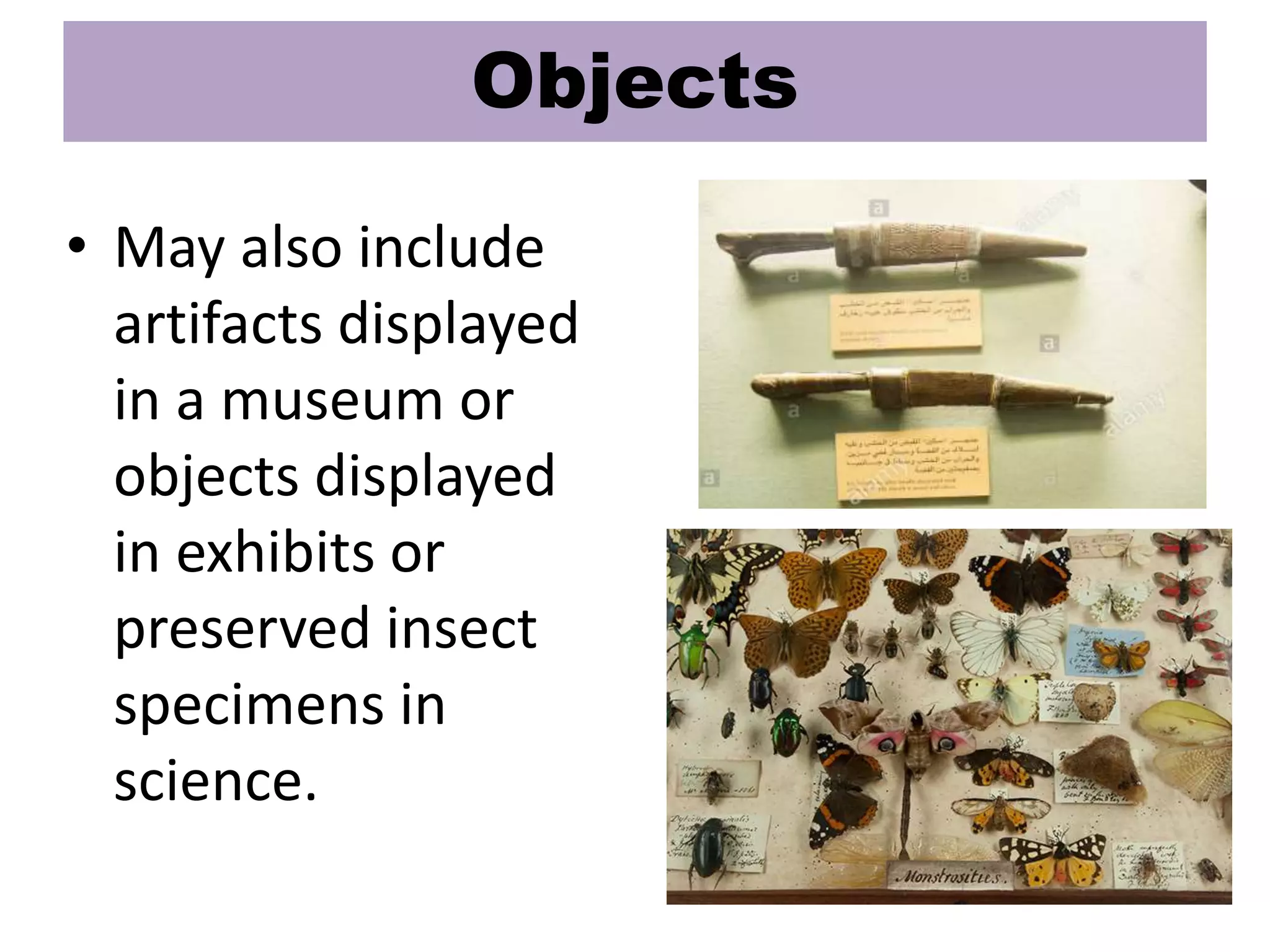 Objects
• May also include
artifacts displayed
in a museum or
objects displayed
in exhibits or
preserved insect
specimens in
science.
 