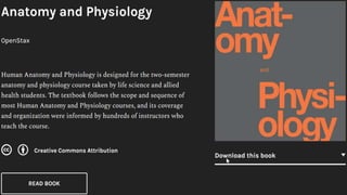 Key Challenges
Raising brand awareness
Increasing international presence
 