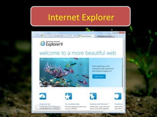 Internet Explorer
 