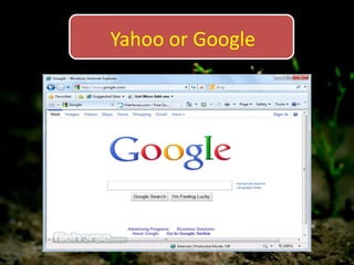 Yahoo or Google
 