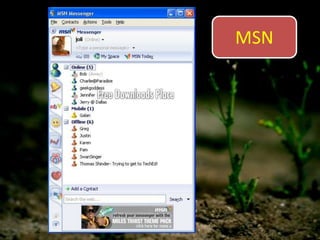 MSN
 