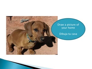 Draw a picture of your home Dibuja tu casa 