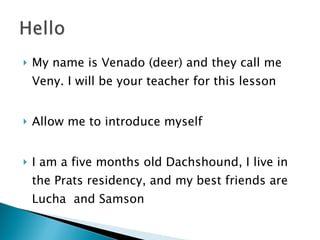 My name is Venado (deer) and they call me Veny. I will be your teacher for this lesson Allow me to introduce myself I am a five months old Dachshound, I live in the Prats residency, and my best friends are Lucha  and Samson 