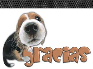 Docente Alas filial Ica