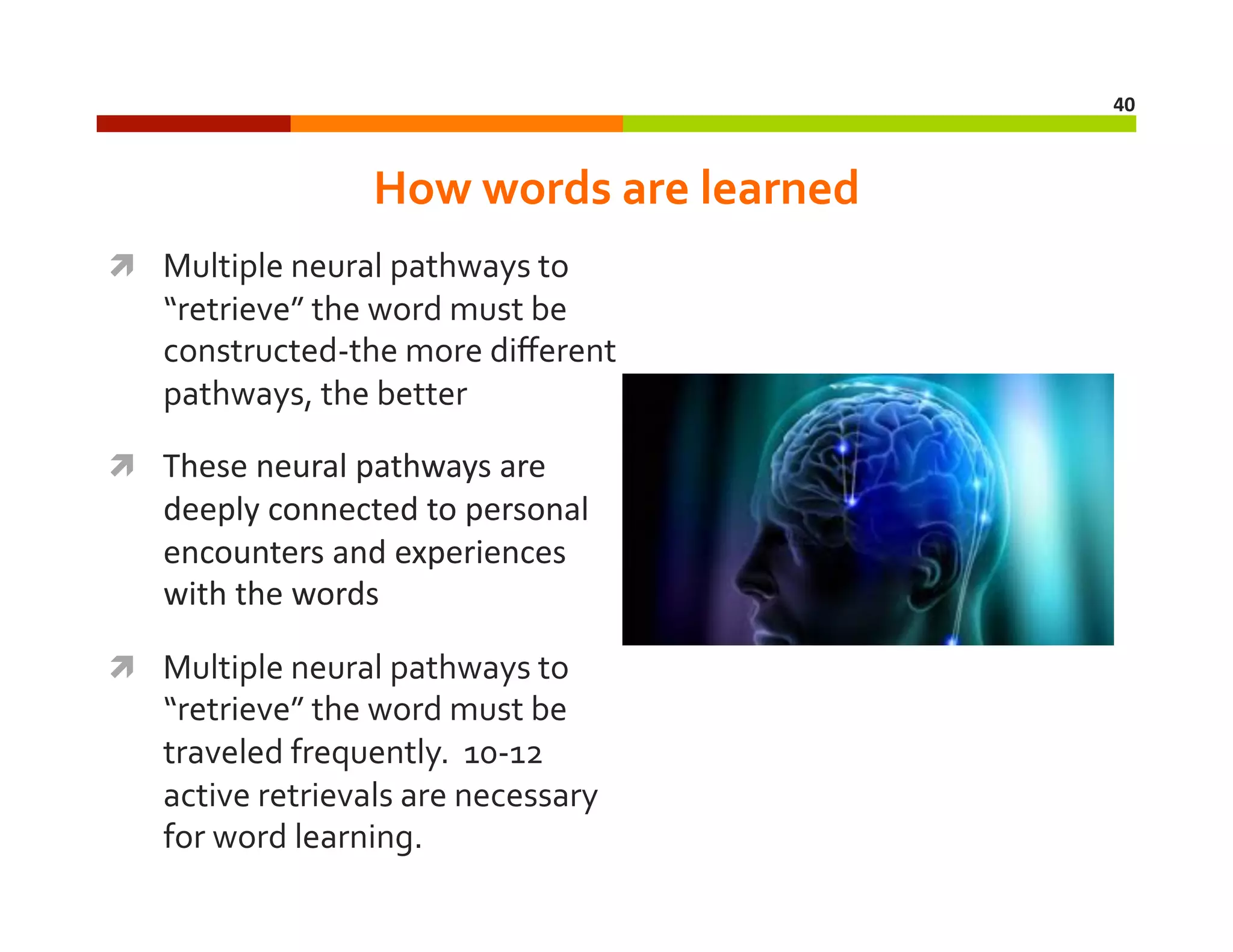 40	
  

How	
  words	
  are	
  learned	
  
  Multiple	
  neural	
  pathways	
  to	
  

“retrieve”	
  the	
  word	
  must	
  be	
  
constructed-­‐the	
  more	
  diﬀerent	
  
pathways,	
  the	
  better	
  

  These	
  neural	
  pathways	
  are	
  

deeply	
  connected	
  to	
  personal	
  
encounters	
  and	
  experiences	
  
with	
  the	
  words	
  

  Multiple	
  neural	
  pathways	
  to	
  

“retrieve”	
  the	
  word	
  must	
  be	
  
traveled	
  frequently.	
  	
  10-­‐12	
  
active	
  retrievals	
  are	
  necessary	
  
for	
  word	
  learning.	
  

 