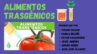 Alimentos
Trasgénicos
Presentado por:
Yurani Roldan
Camila Beleño
Dayan Casarrubia
Jesús Jiménez
Adrián Gómez
Juan José Álvarez
 