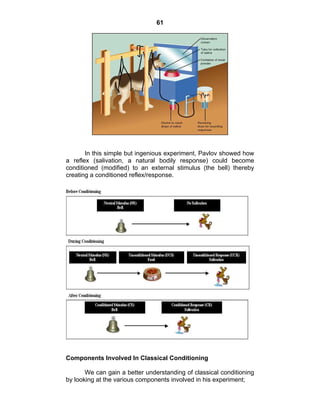 61 
In this simple but ingenious experiment, Pavlov showed how 
a reflex (salivation, a natural bodily response) could become 
conditioned (modified) to an external stimulus (the bell) thereby 
creating a conditioned reflex/response. 
Components Involved In Classical Conditioning 
We can gain a better understanding of classical conditioning 
by looking at the various components involved in his experiment; 
 