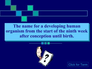 The name for a developing human organism from the start of the ninth week after conception until birth. Click for Term 