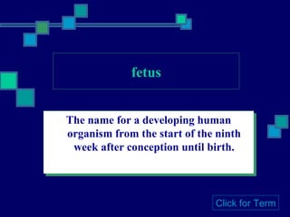 fetus The name for a developing human organism from the start of the ninth week after conception until birth. Click for Term 