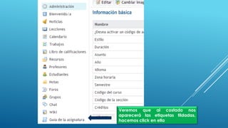 Veremos que al costado nos
aparecerá las etiquetas tildadas,
hacemos click en ella
 