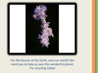 For the beauty of the Earth, save our world! We need you to help us save this wonderful planet. Try recycling today! 