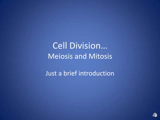 Cell Division…Meiosis and Mitosis Just a brief introduction 